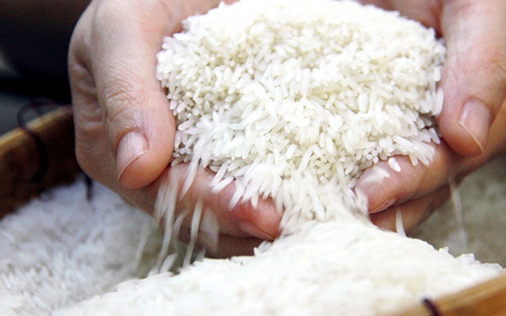 Nine Vietnamese rice varieties exempt from tariffs in EU market